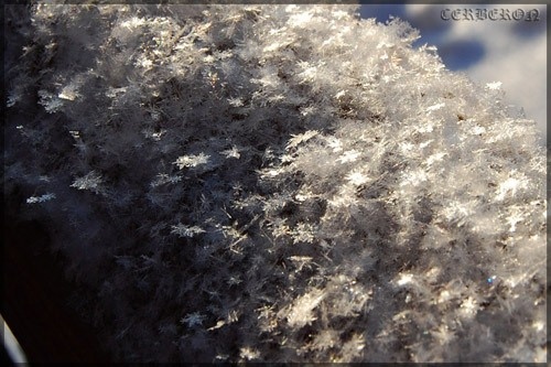 snow_2011___0001