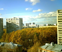 Осень из окна на Нелидовской 25 к.1