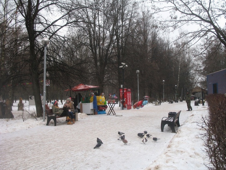 В  зимнем  парке.