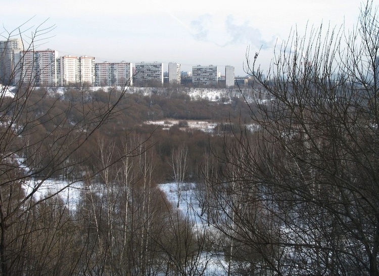 Зима у реки Сходня.