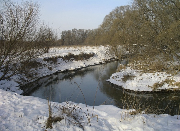 Зима у реки Сходня.