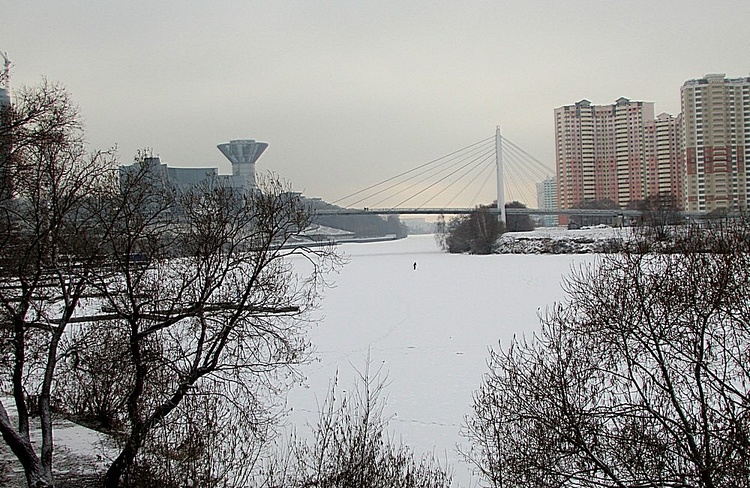 Подвесной мост через Москва-реку из Москвы в Павшинскую пойму.