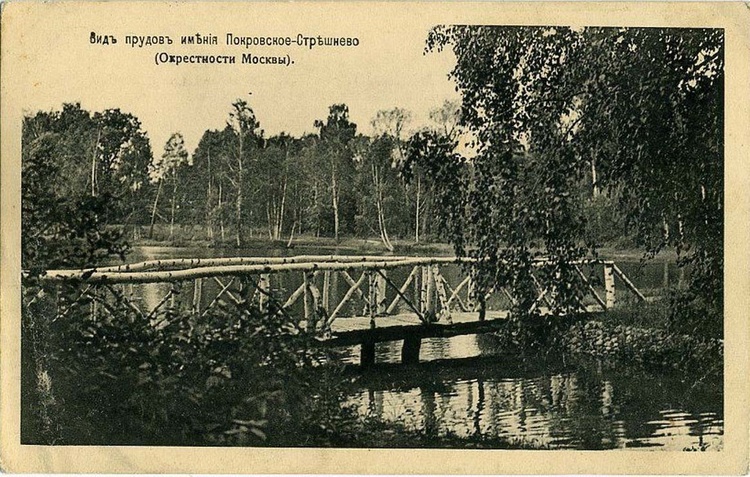 Парк Покровское-Стрешнево