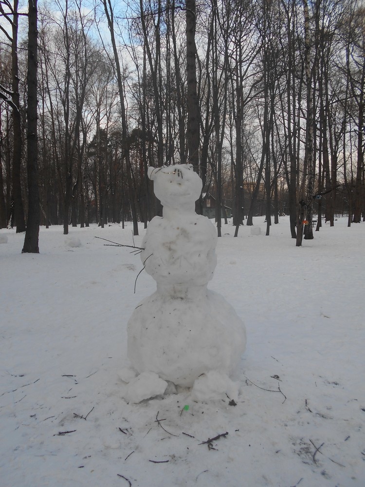 Снежная сказка в парке Братцева.