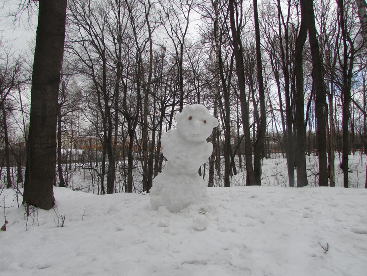 Снежная сказка в парке Братцева.