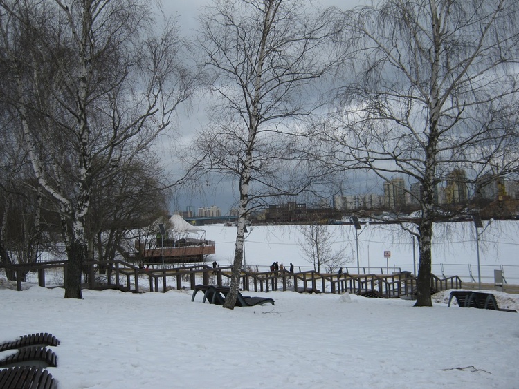 В зимнем парке.