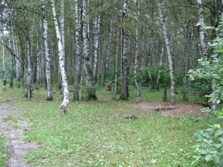 Авиабомба в лесах Тушино