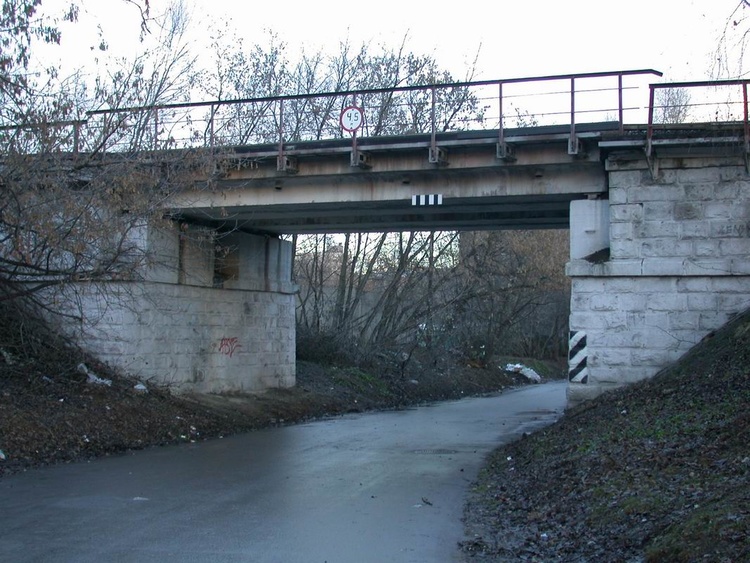 Мосты в Хорошево-Мневники.