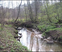 Плотина на реке Братовка.