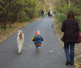 Тушинские прогулки (2005 г. октябрь)