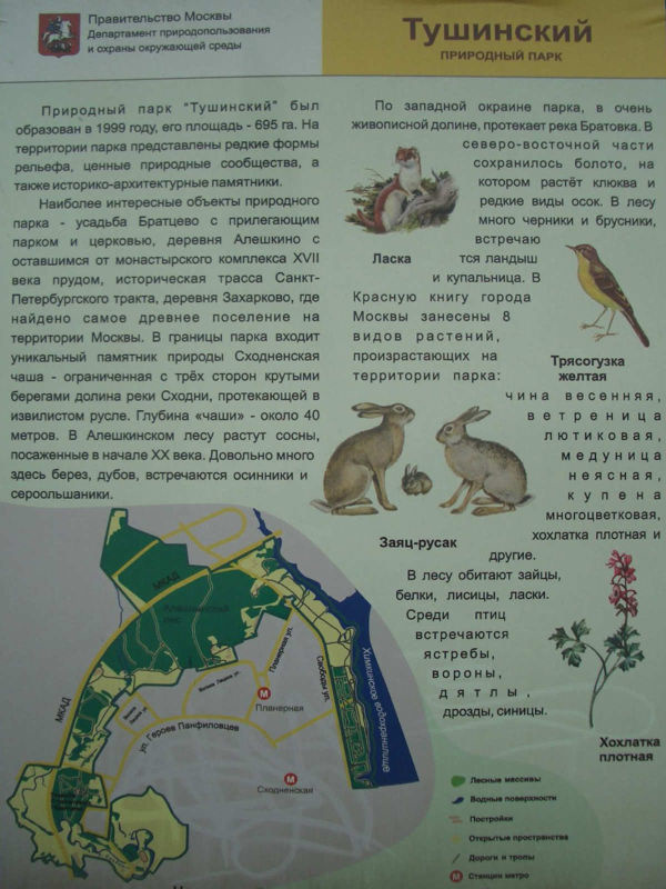Природа Алёшкинского леса