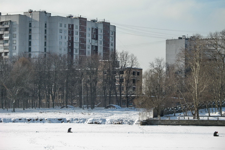 Февральский день. Химкинское водохранилище.