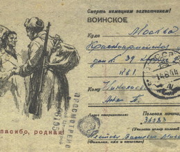 Страницы  дневника  военного времени .