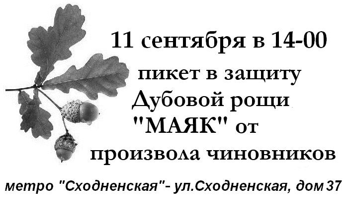 На землю Дубовой рощи на Аэродромной ул. пришли перемены