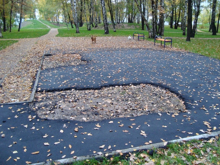 На землю Дубовой рощи на Аэродромной ул. пришли перемены