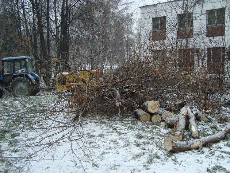 На землю Дубовой рощи на Аэродромной ул. пришли перемены