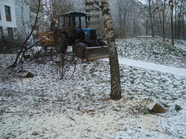 На землю Дубовой рощи на Аэродромной ул. пришли перемены