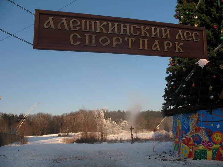 Лыжная трасса в Алешкине