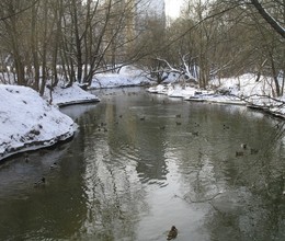 Зима у  реки Сходня.