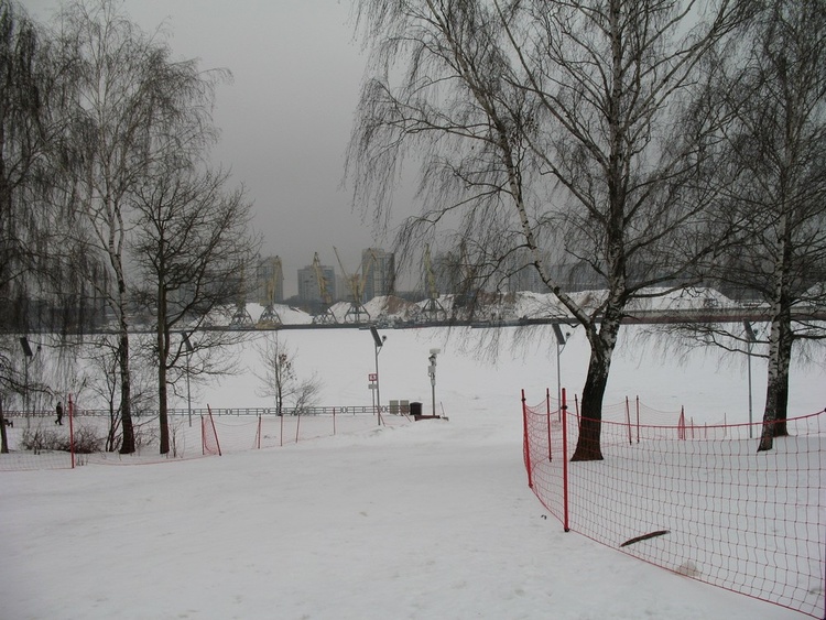 В  зимнем  парке.