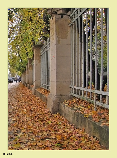 Осень: «Желтые улицы».