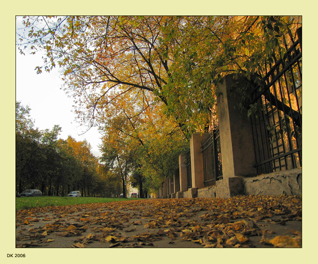 Осень: «Желтые улицы».