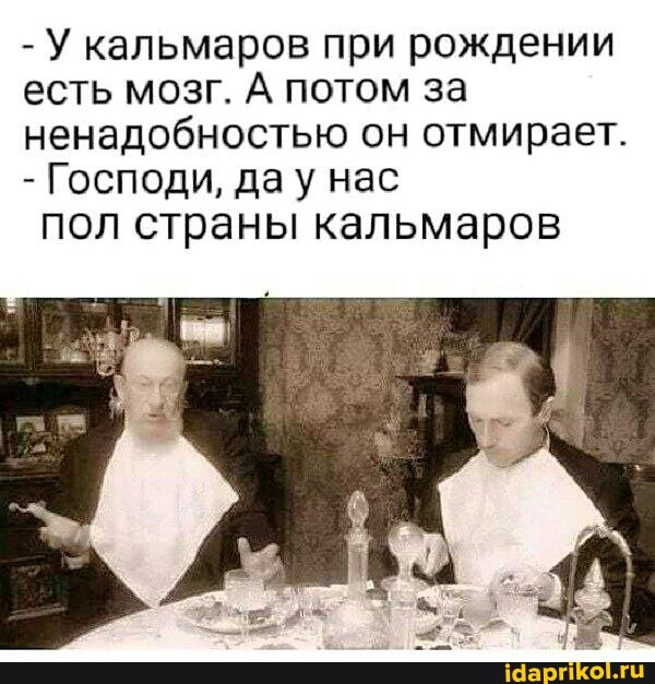 8df196e333bdcbe4c84a2dc3951cf86b28de8e44e4a330235bd9af501dfcf03e_1.jpg