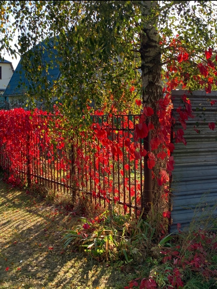 Screenshot_20251001_112825_VK