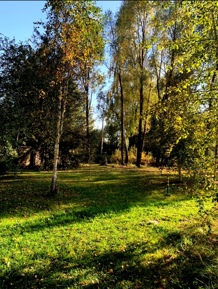 Screenshot_20251001_112809_VK