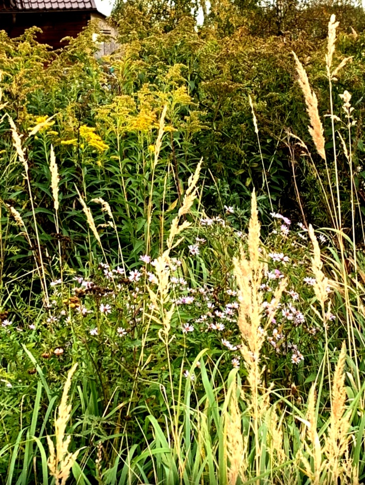 Screenshot_20251001_112541_VK