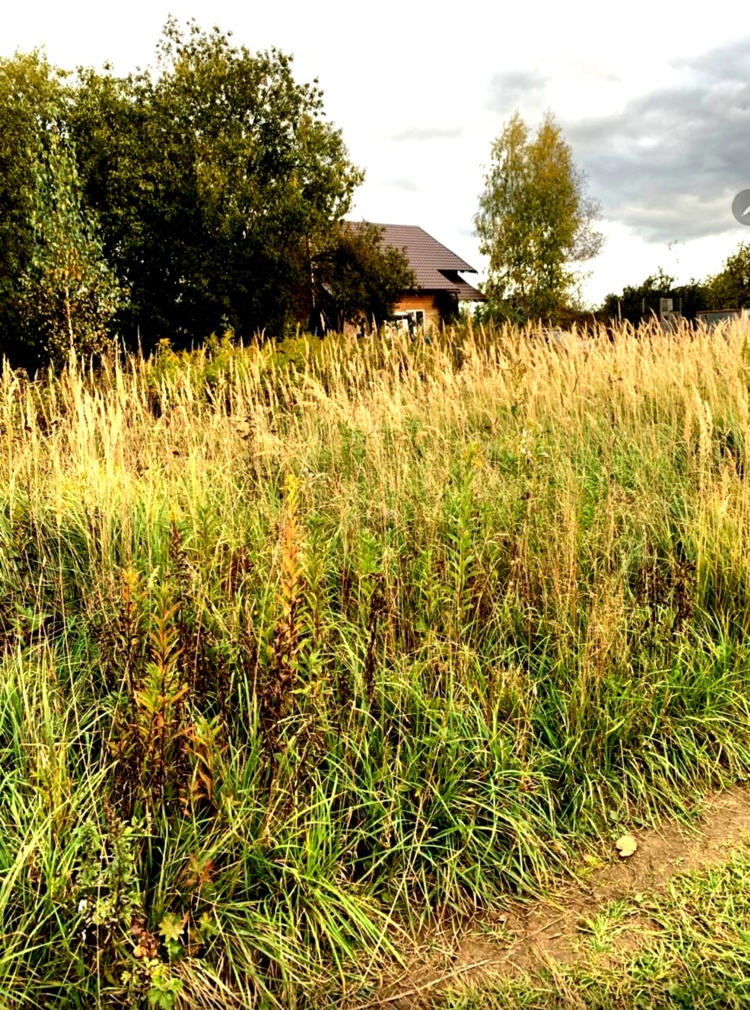 Screenshot_20251001_112535_VK