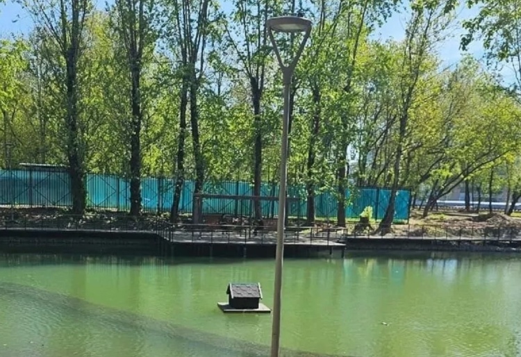 Фото из открытых источников интернет