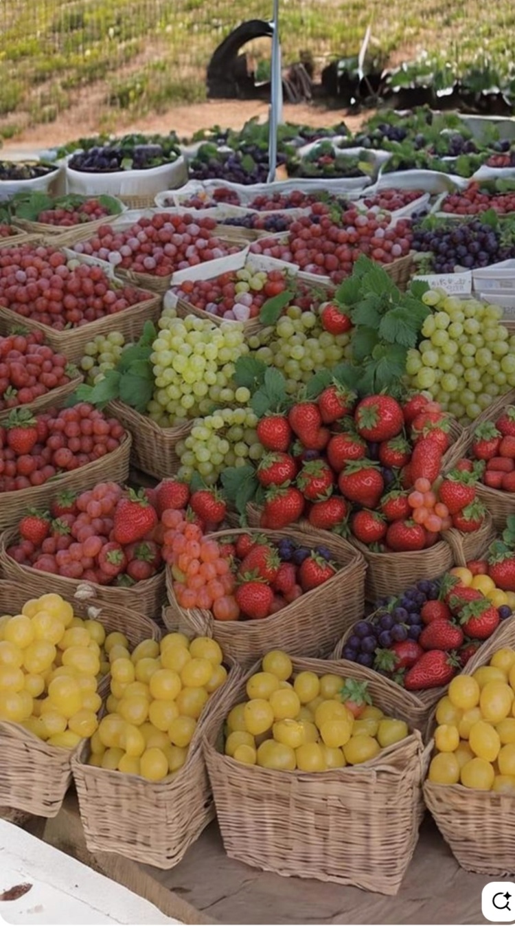 Screenshot_20251217_194003_Pinterest