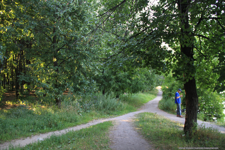 фото из открытых источников интернет