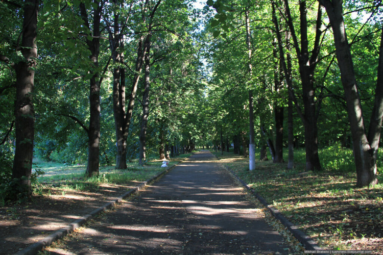 фото из открытых источников интернет