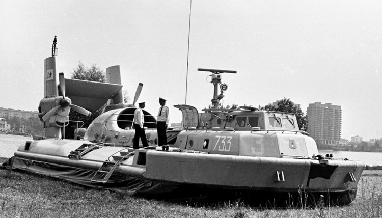 ozxg5u3zoxx6x7kg_1024