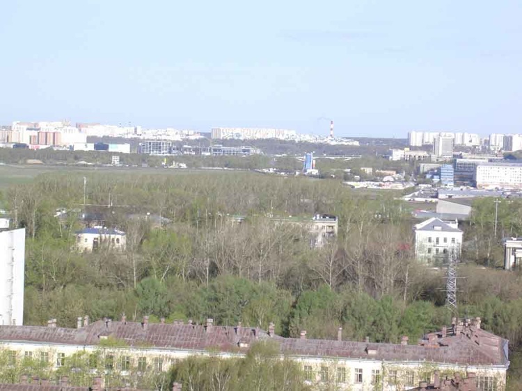 Вид с пальмы на Габричевского