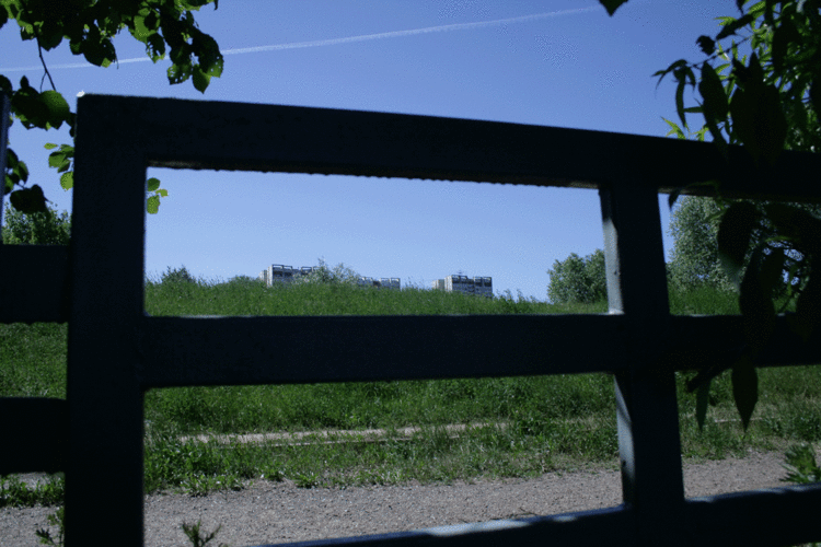 Деревня Алёшкино. Первый день лета 2007.